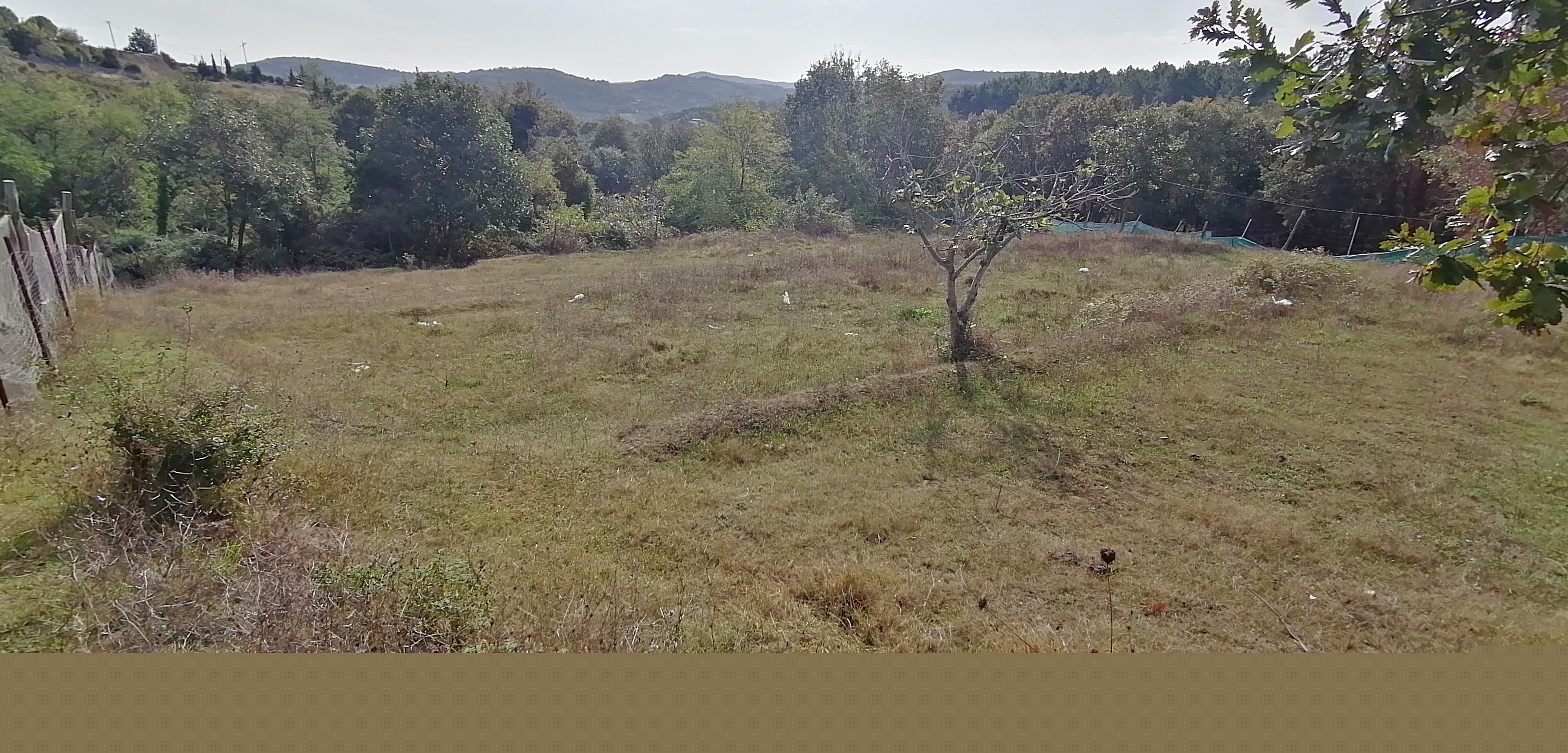 GÜMÜŞDERE YATIRIM VE YAŞAM ALANINA UYGUN MÜSTAKİL PARSEL 2556 M2