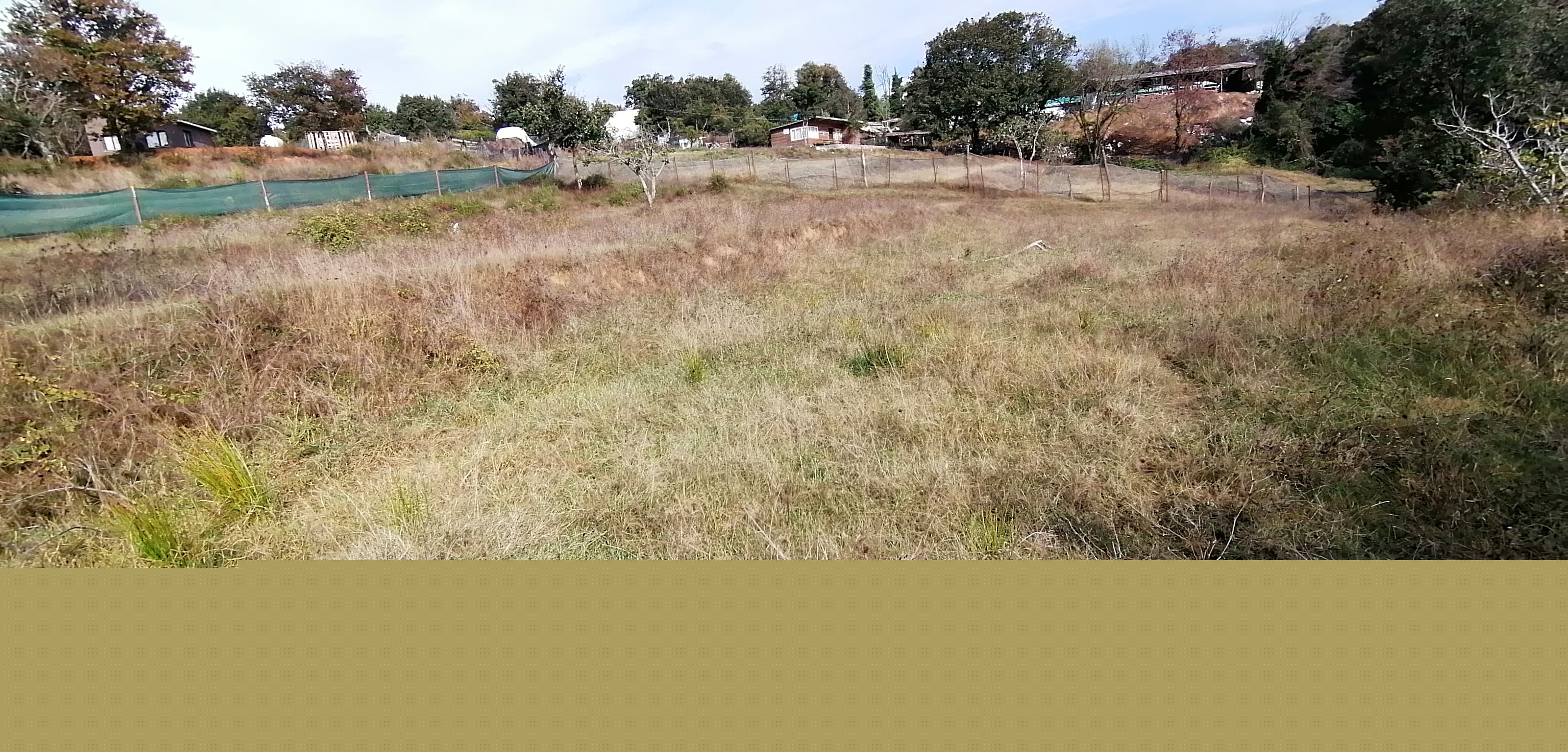GÜMÜŞDERE YATIRIM VE YAŞAM ALANINA UYGUN MÜSTAKİL PARSEL 2556 M2