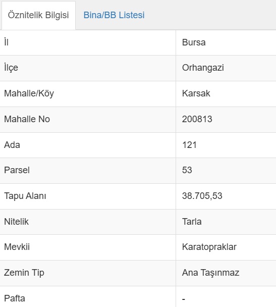 ORHANGAZİ KARSAK KÖYÜ YOLU MEVCUT, MERKEZE YAKIN 38.706 M2