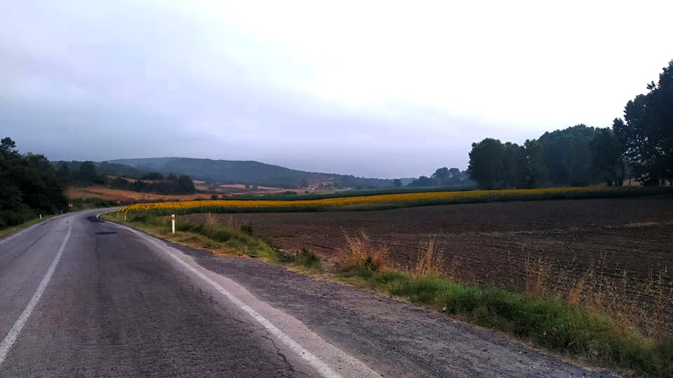 Uzunköprü Sipahi Köyü'nde 3165 M² Müstakil Tapulu Tarla